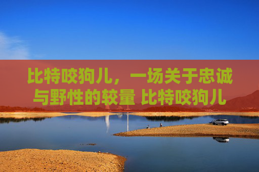 比特咬狗儿，一场关于忠诚与野性的较量 比特咬狗儿