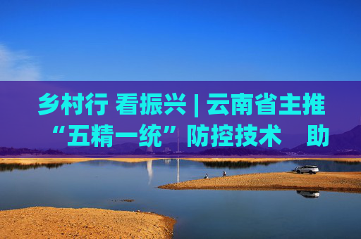 乡村行 看振兴 | 云南省主推“五精一统”防控技术　助马铃薯产业提质增效