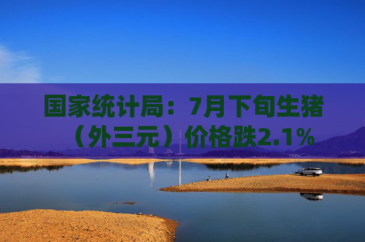 国家统计局：7月下旬生猪（外三元）价格跌2.1%