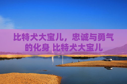 比特犬大宝儿，忠诚与勇气的化身 比特犬大宝儿