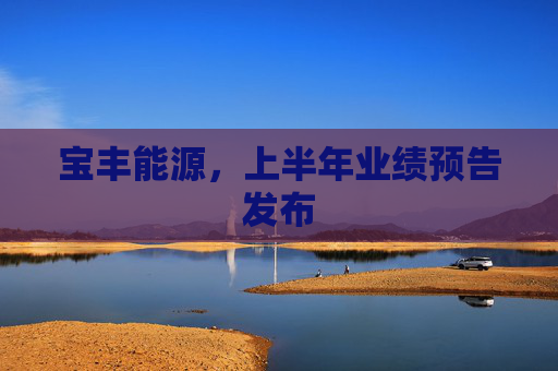宝丰能源，上半年业绩预告发布