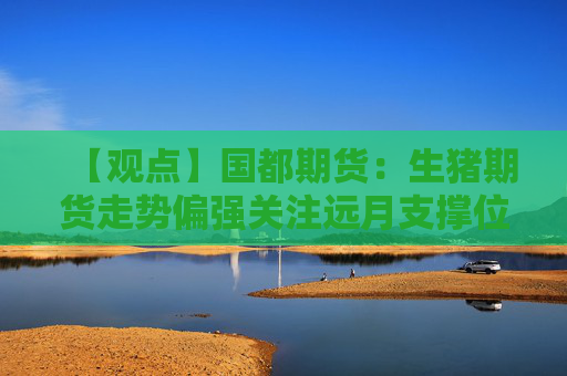 【观点】国都期货：生猪期货走势偏强关注远月支撑位13000元