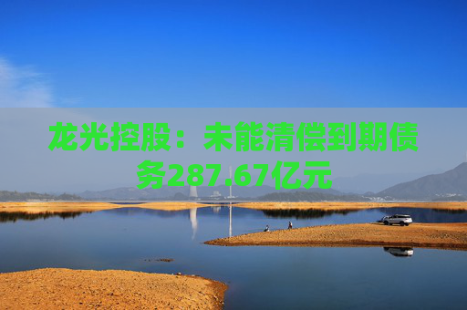 龙光控股：未能清偿到期债务287.67亿元
