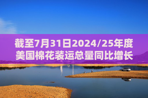 截至7月31日2024/25年度美国棉花装运总量同比增长1%