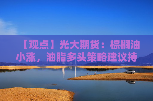 【观点】光大期货：棕榈油小涨，油脂多头策略建议持多单