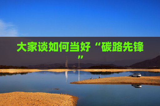 大家谈如何当好“碳路先锋”