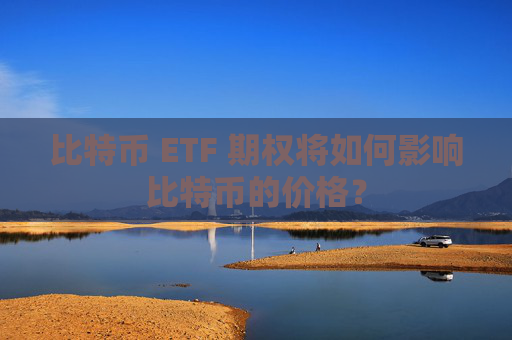 比特币 ETF 期权将如何影响比特币的价格？