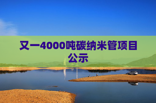 又一4000吨碳纳米管项目公示