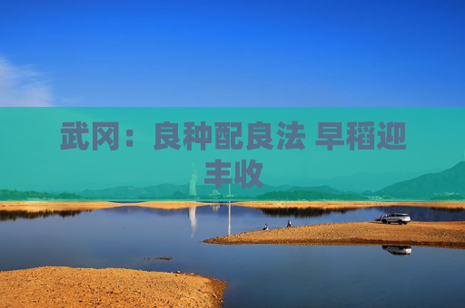 武冈：良种配良法 早稻迎丰收