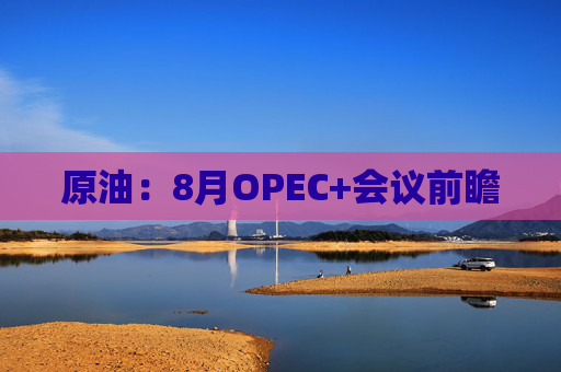 原油：8月OPEC+会议前瞻