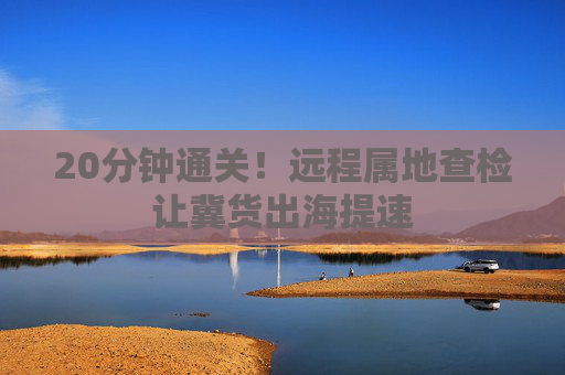 20分钟通关！远程属地查检让冀货出海提速