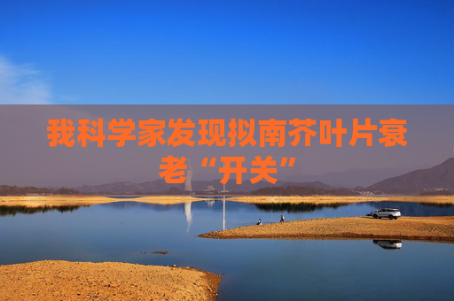我科学家发现拟南芥叶片衰老“开关”