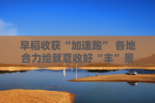 早稻收获“加速跑” 各地合力绘就夏收好“丰”景