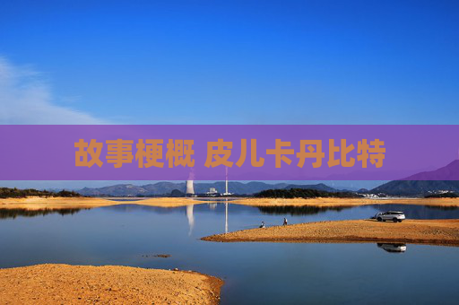 故事梗概 皮儿卡丹比特