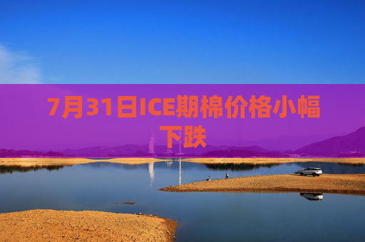 7月31日ICE期棉价格小幅下跌