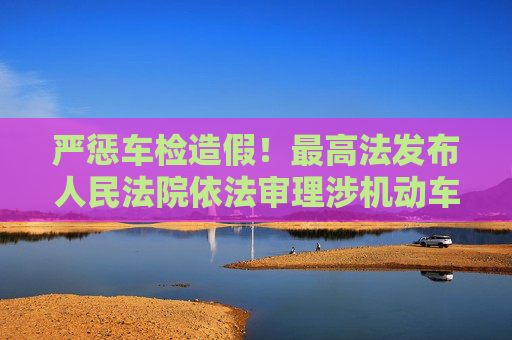 严惩车检造假！最高法发布人民法院依法审理涉机动车环境监管典型案例