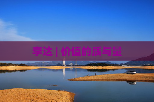 李达 | 价值的质与量
