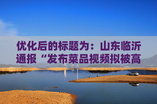 优化后的标题为：山东临沂通报“发布菜品视频拟被高额处罚”事件调查情况
