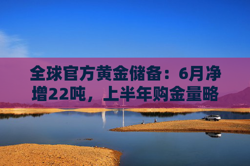 全球官方黄金储备：6月净增22吨，上半年购金量略降