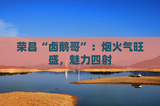 荣昌“卤鹅哥”：烟火气旺盛，魅力四射