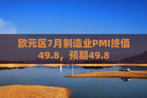 欧元区7月制造业PMI终值49.8，预期49.8
