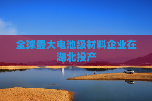 全球最大电池级材料企业在湖北投产