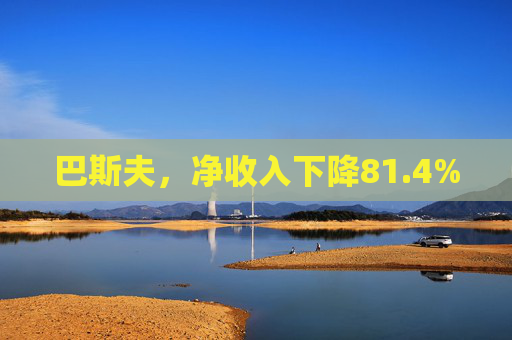 巴斯夫，净收入下降81.4%
