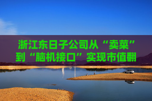 浙江东日子公司从“卖菜”到“脑机接口”实现市值翻倍