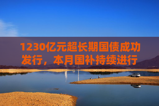 1230亿元超长期国债成功发行，本月国补持续进行