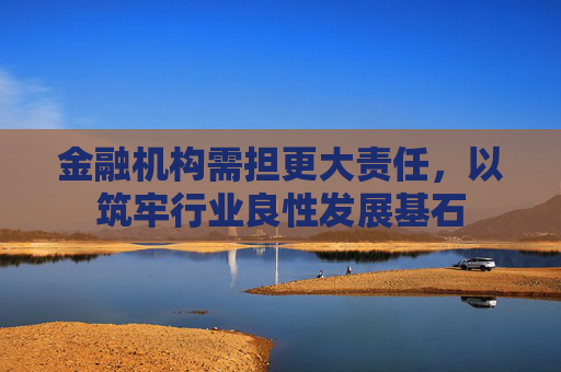 金融机构需担更大责任，以筑牢行业良性发展基石