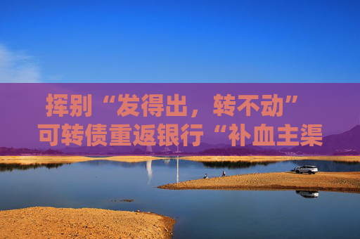 挥别“发得出，转不动” 可转债重返银行“补血主渠道”