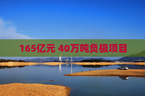 165亿元 40万吨负极项目