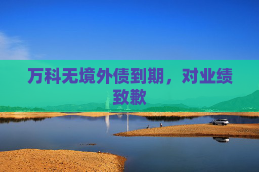 万科无境外债到期，对业绩致歉