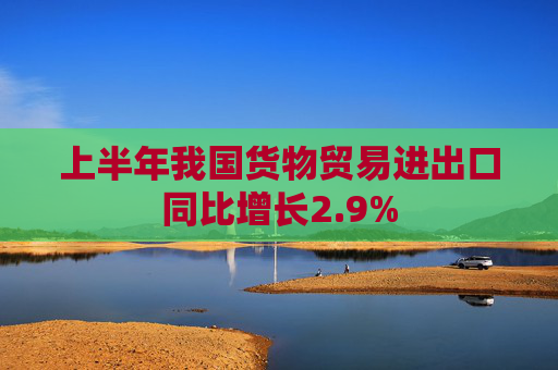 上半年我国货物贸易进出口同比增长2.9%