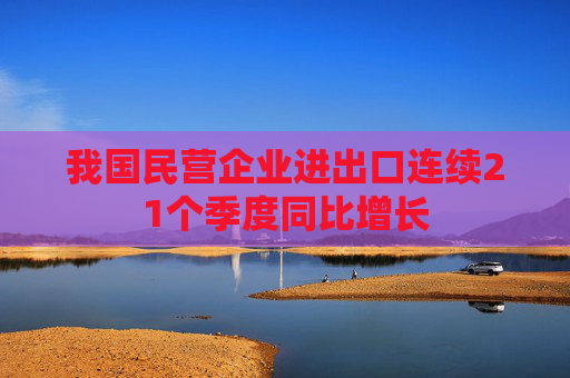 我国民营企业进出口连续21个季度同比增长