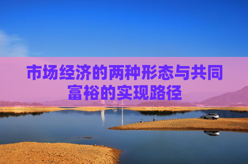 市场经济的两种形态与共同富裕的实现路径