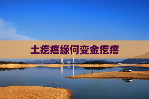 土疙瘩缘何变金疙瘩