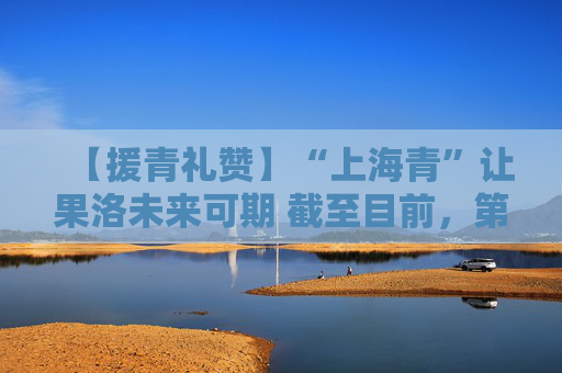 【援青礼赞】“上海青”让果洛未来可期 截至目前，第五批上海援青团队共实施援建项目229项，交出亮眼“成绩单”