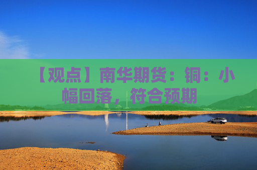 【观点】南华期货：铜：小幅回落，符合预期