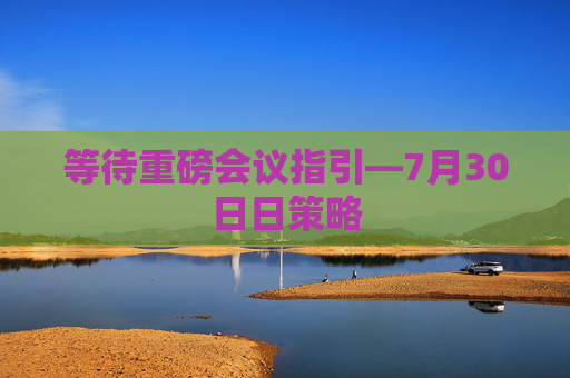 等待重磅会议指引—7月30日日策略