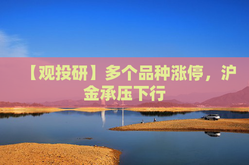 【观投研】多个品种涨停，沪金承压下行