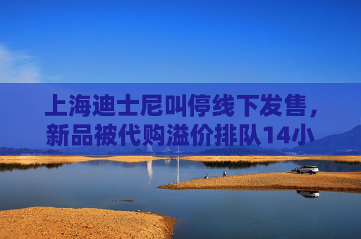 上海迪士尼叫停线下发售，新品被代购溢价排队14小时