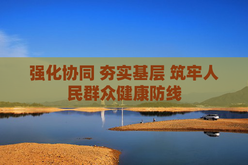 强化协同 夯实基层 筑牢人民群众健康防线