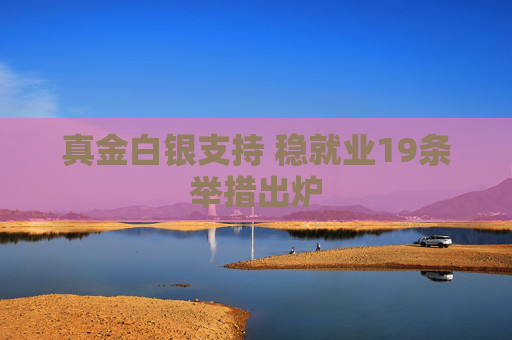 真金白银支持 稳就业19条举措出炉