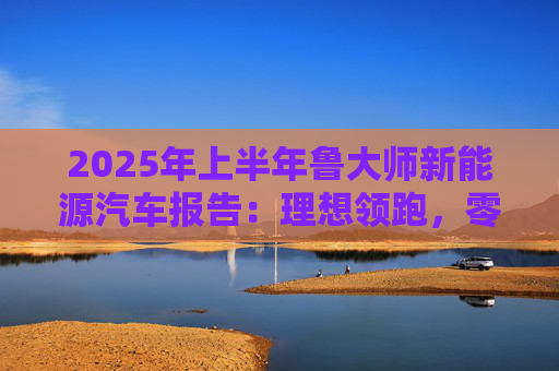 2025年上半年鲁大师新能源汽车报告：理想领跑，零跑崛起
