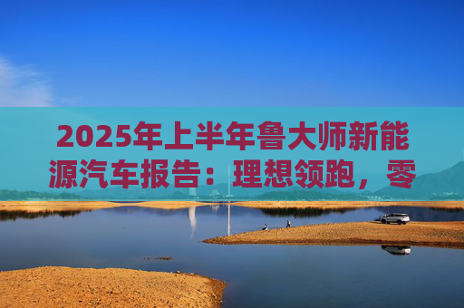 2025年上半年鲁大师新能源汽车报告：理想领跑，零跑崛起