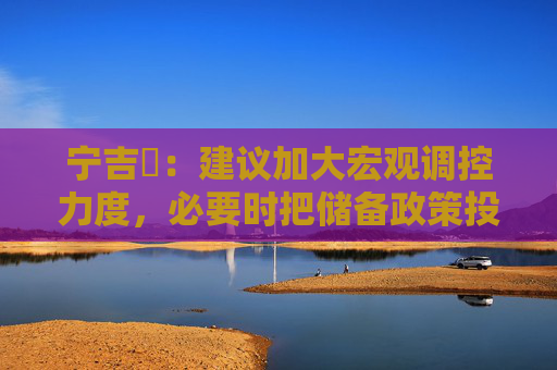 宁吉喆：建议加大宏观调控力度，必要时把储备政策投入实际操作