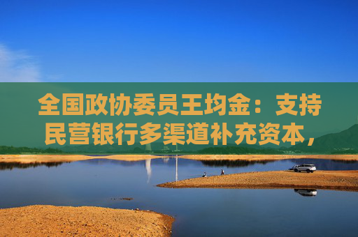 全国政协委员王均金：支持民营银行多渠道补充资本，适度开放相关业务资质