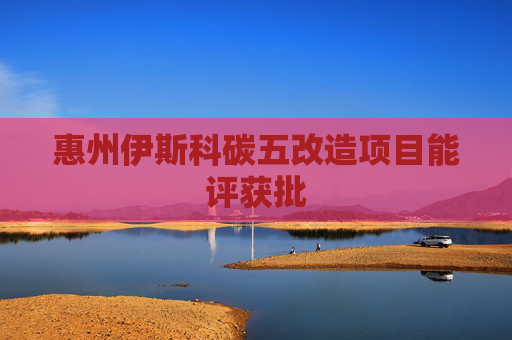 惠州伊斯科碳五改造项目能评获批