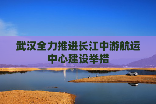 武汉全力推进长江中游航运中心建设举措